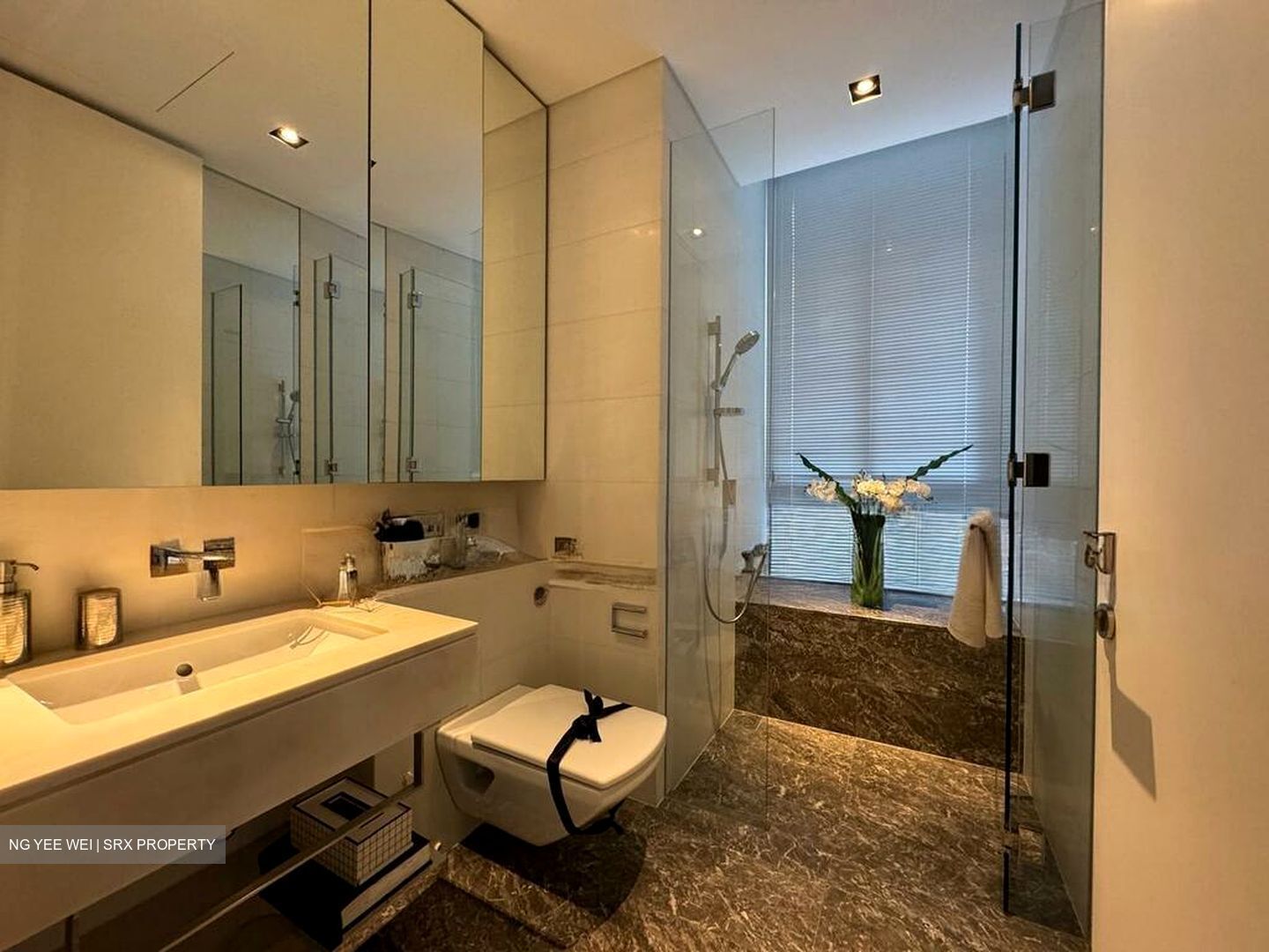 Balmoral Road (D10), Condominium #554607351